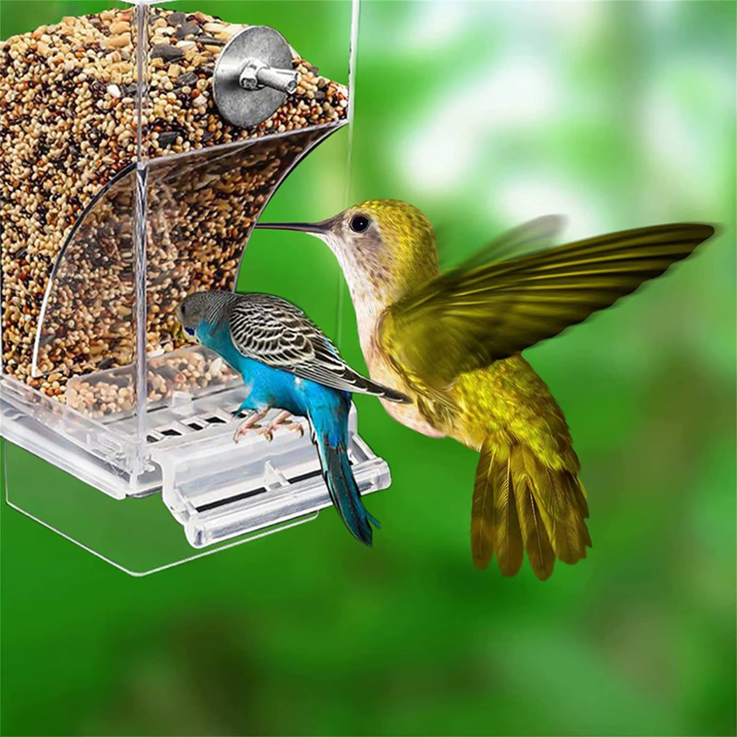 Bird Feeder Acrylic Automatic Bird Food Container Parrot Feeder Drinker Transparent House Type Feeding Cage Birds Feed Tray